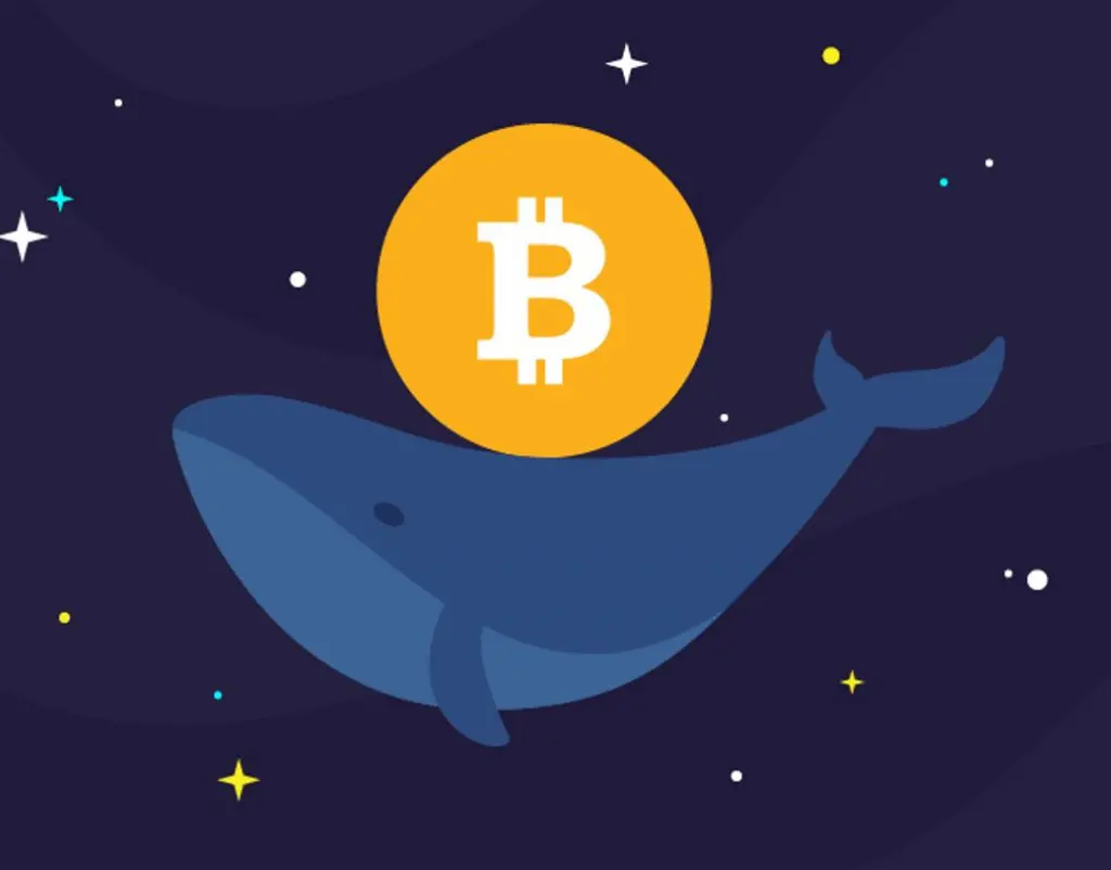 Un Bitcoin Whale ha spostato  milioni dopo 12 anni di inattività