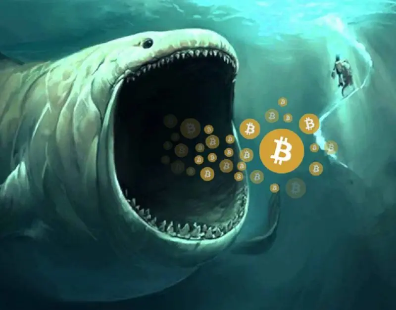 Un Bitcoin Whale ha spostato $11 milioni dopo 12 anni di inattività