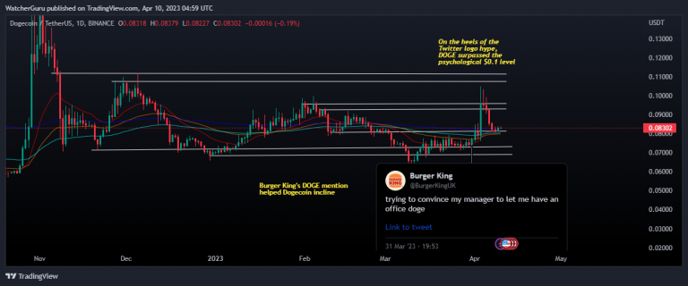 Dopo la menzione di 'Doge', Burger King sta ora 'creando' la propria criptovaluta?