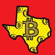 I legislatori del Texas propongono di includere le criptovalute nella Carta dei Diritti