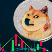 L'influenza di Elon Musk su Dogecoin: una memecoin con un serio potenziale