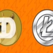 Aumento significativo delle transazioni di Dogecoin e Litecoin a seguito dell'intervento degli investitori