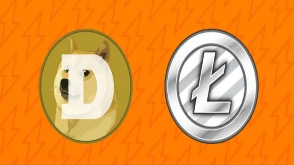 Aumento significativo delle transazioni di Dogecoin e Litecoin a seguito dell'intervento degli investitori