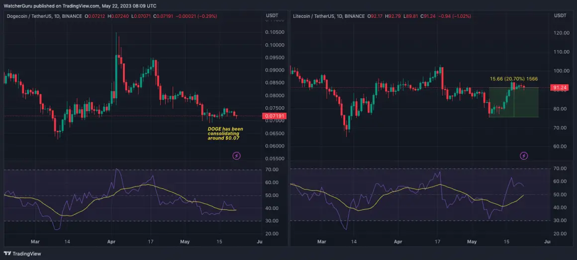 Aumento significativo delle transazioni di Dogecoin e Litecoin a seguito dell'intervento degli investitori