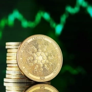 Cardano è un buon investimento?