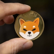 Buone notizie per gli investitori di Shiba Inu: Shibarium sta bruciando miliardi di SHIB