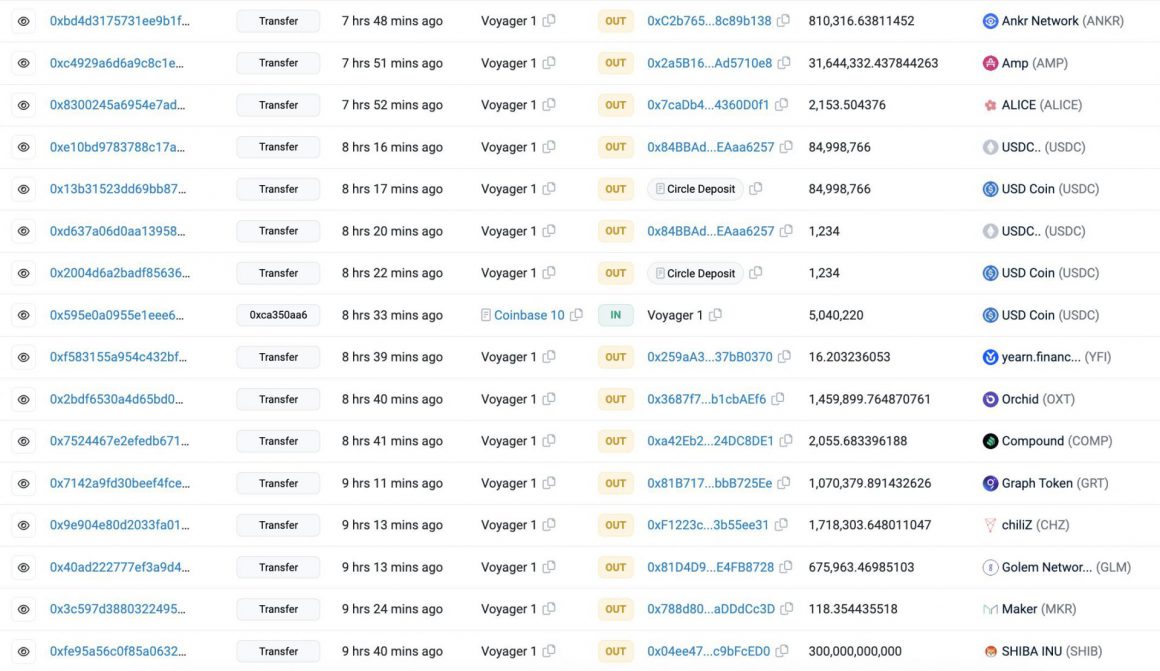 Voyager cestina 1,4 trilioni di token Shiba Inu prima del lancio di Shibarium