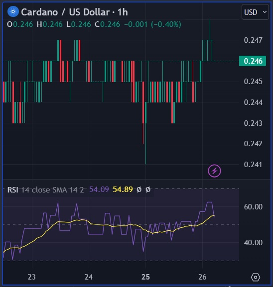 Cardano: ADA previsto salire del 2.500%, raggiungere il target di prezzo di 