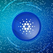 Gli investitori di Cardano sentono il dolore con il 93% degli indirizzi in perdita