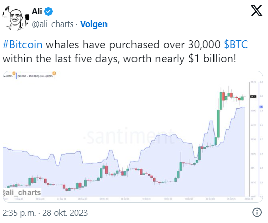 Il momentum continua: i giganti del Bitcoin stanno acquistando massicciamente