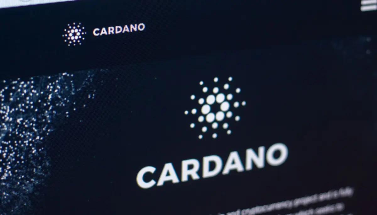 Cardano cresce e si inserisce tra le più grandi reti criptovalutarie