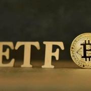 Valkyrie Modifica Domanda per ETF Bitcoin Spot