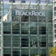 BlackRock, tentativo di fondo di borsa Bitcoin, osserva un progresso promettente