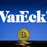 VanEck: "Le persone sottovalutano il potenziale di Bitcoin e delle criptovalute"