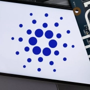 Il futuro di Cardano: Cosa succederà a febbraio?