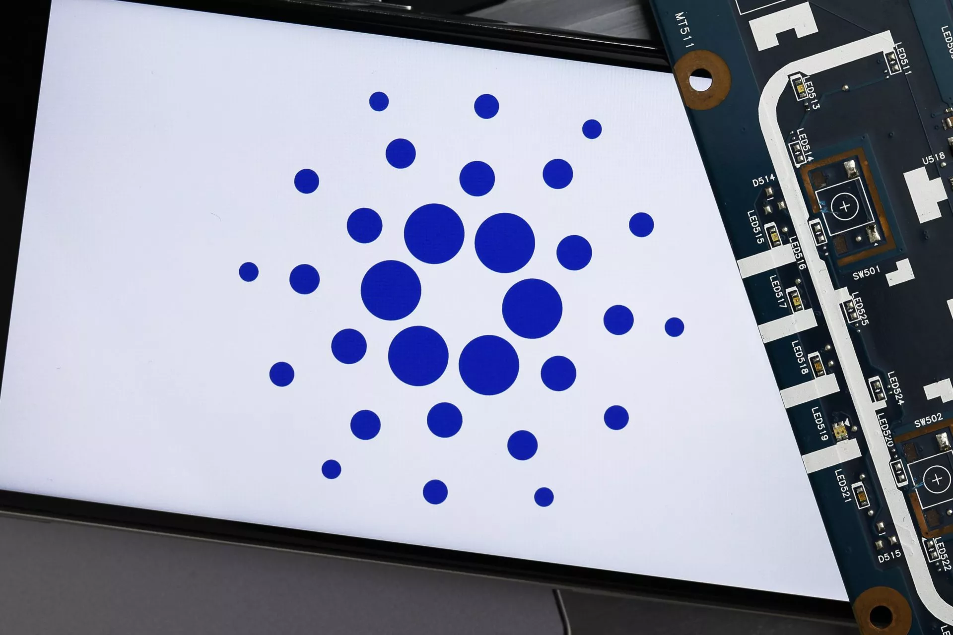 Il futuro di Cardano: Cosa succederà a febbraio?