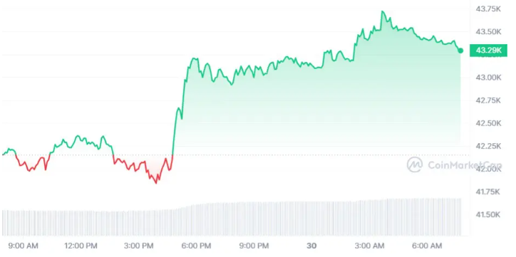 Bitcoin sta salendo rapidamente e supera i .000, Solana e Cardano si distinguono