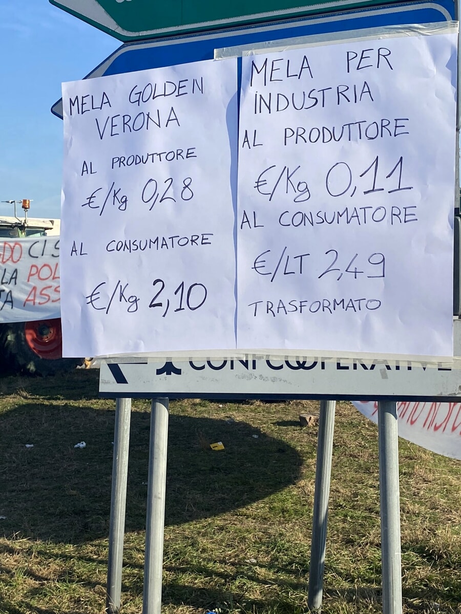 Su un totale di 100 euro di spesa, ben 32 euro vengono destinati alle attività logistiche, mentre solo 5 euro arrivano effettivamente ai produttori reali