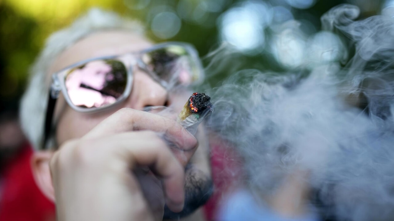 La Germania approva la coltivazione e l'uso legale della marijuana