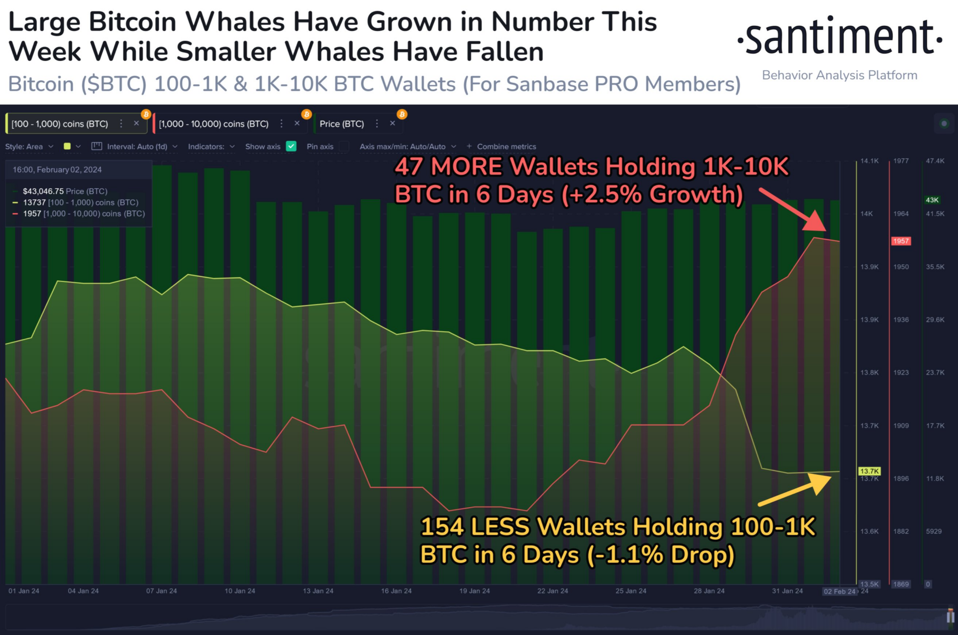 Le balene di Bitcoin sono più attive che mai!