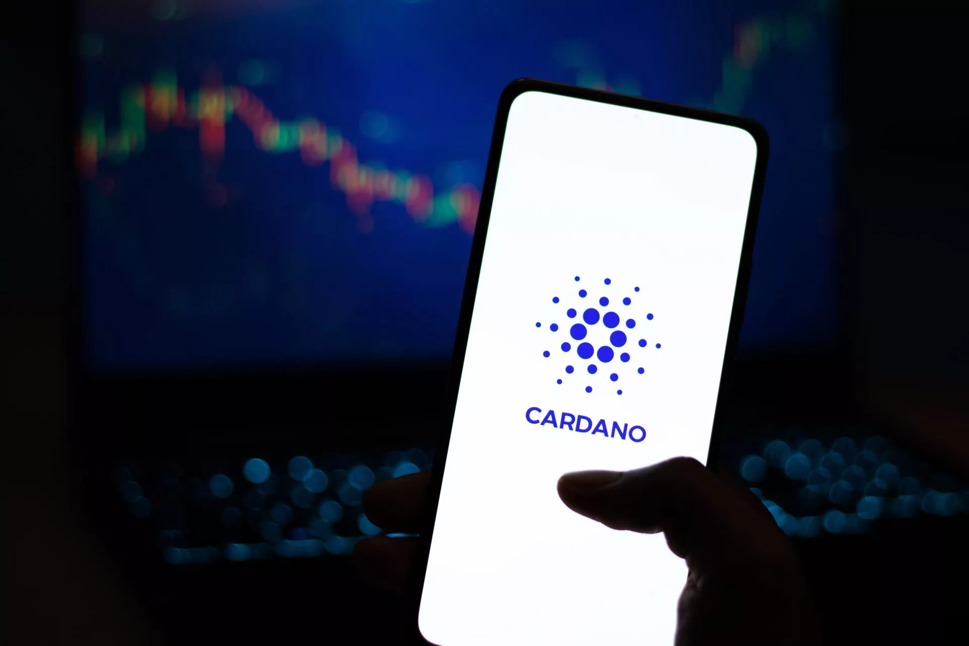 Fondatore di Cardano: "Abbiamo tutte le carte in mano"