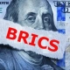 BRICS Abbandona il Dollaro USA, Sistematizza 4 Miliardi di Dollari di Commercio in Valute Locali