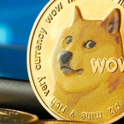 "Dogecoin non è morto, gli investitori stanno di nuovo assumendo rischi": analista di criptovalute